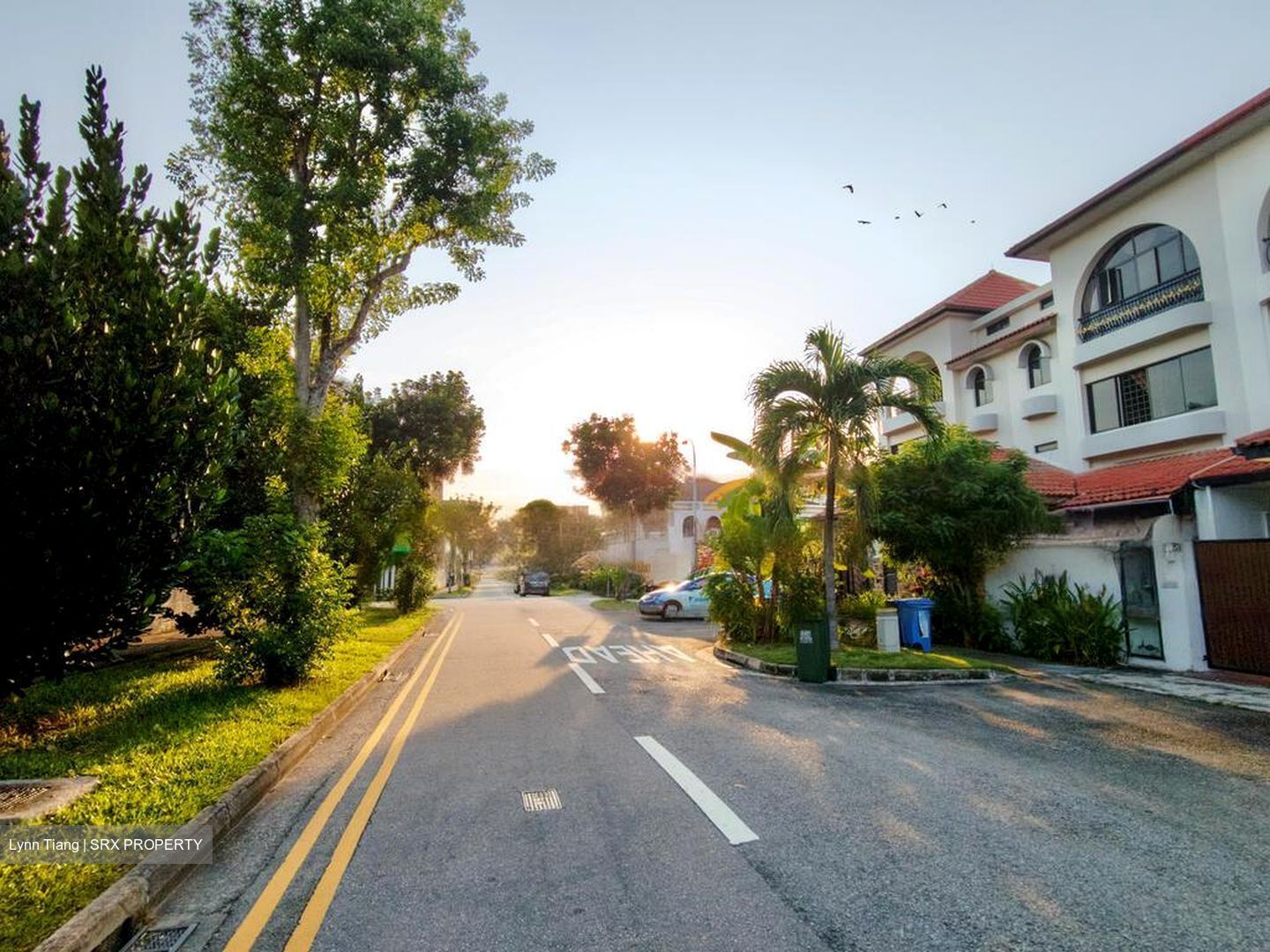 Yong Seng Estate (D14), Terrace #486647051